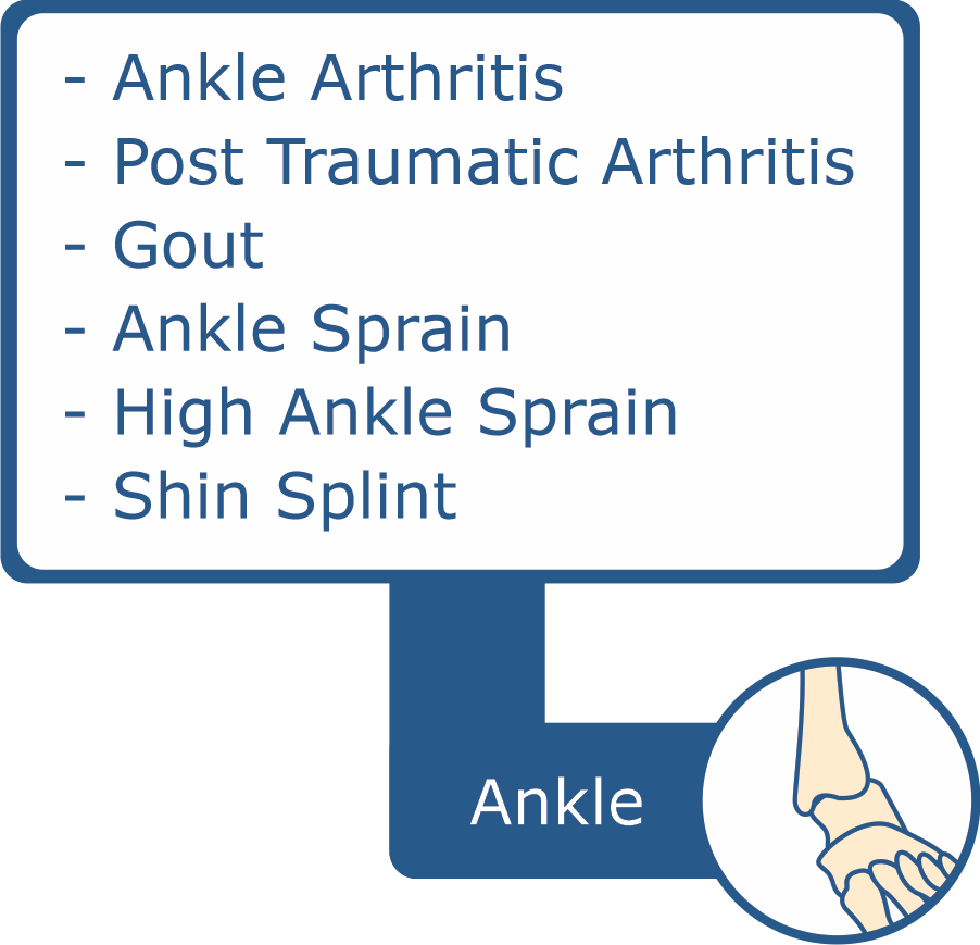 ankle