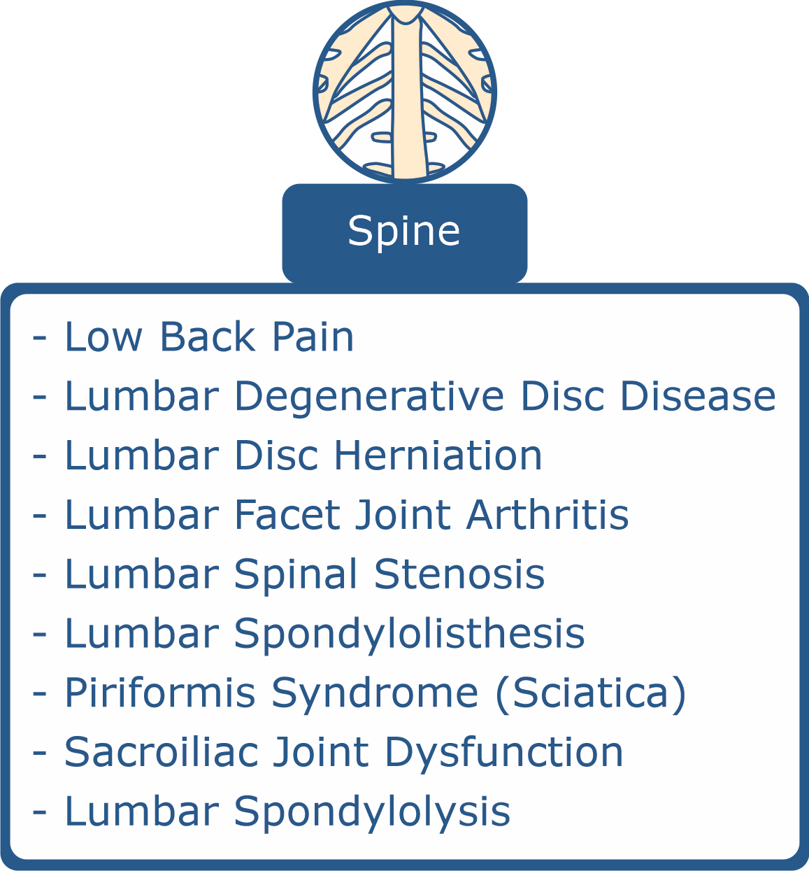 spine